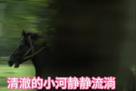 爱你到天荒地老，情比海深。视频封面
