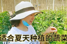 适合六月种植的4种蔬菜，种好了七八月就能丰收视频封面