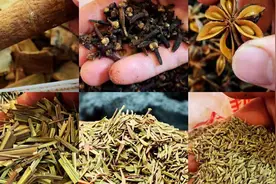 不用添加剂，这6种香料照样能让卤肉飘香四溢，20米开外馋到你哭视频封面
