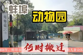 蚌埠张公山动物园有66年历史，搬迁到西芦山新建是市民的最大心愿视频封面