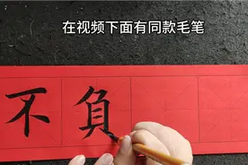 欧楷专用笔写成语：不负韶华视频封面