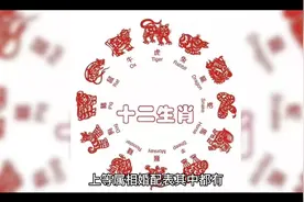 十二生肖上等婚配表