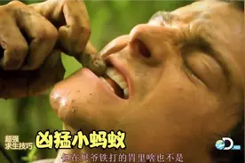 贝爷超强求生指南，带你体验荒野求生还能学到求生小技巧视频封面
