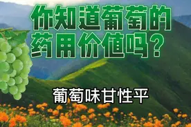 你知道葡萄的药用价值吗？视频封面