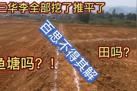 今天发现广西这里的果树全部挖了，这到底是怎么回事？要做什么？视频封面