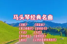 马头琴名曲十首 触动心灵的天籁之音 舒展优美富有浓郁的草原气息视频封面