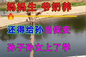 妈妈生，奶奶养，经典大实话。视频封面