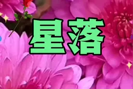 国风青年演唱《星落》视频封面