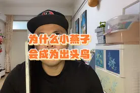 #赵薇事件 背后的故事视频封面