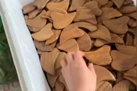 绿檀木的刮痧板新到货每个厚实刮痧按摩器很好用视频封面