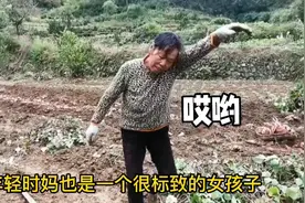 女儿看到妈妈在农村地里日复一日辛苦的劳作，心酸又无奈，泪崩视频封面