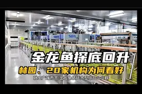 金龙鱼探底回升，林园和20家机构为何看好他？视频封面