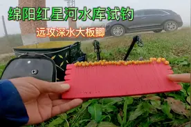 绵阳红星河水库试钓，一不小心又是狂拉大板鲫，实在是爽呀视频封面