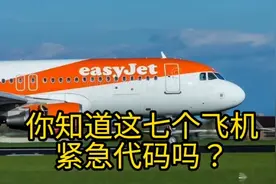 蛋蛋的知识：你知道这七个飞机紧急代码吗？视频封面