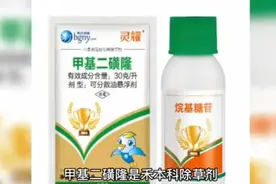 甲基二磺隆使用事项视频封面