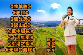 <牧羊曲><驼铃><送战友><映山红><十五的月亮>爱你每一天视频封面