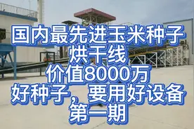 国内种业龙头企业，丰乐种业，最先进的玉米烘干线，造价8000万。视频封面