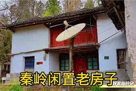 秦岭略阳付家山村，深山闲置老房子，有网络有水电视频封面