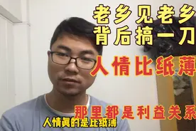 老乡见老乡，背后搞一枪，人情比纸薄，那里都是利益关系，真无赖视频封面