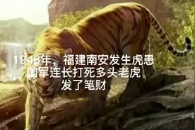 1948年，福建南安发生虎患，国军连长打死多头老虎，发了笔财视频封面