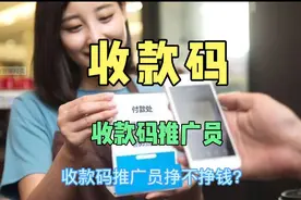 收款码推广员的赚钱模式，看的懂的人都能坚持下去，赚到钱了！视频封面