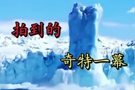 你没见过的不可思议 拍到的奇特一幕 世界之大无奇不有视频封面