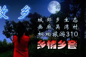 美丽的古村落桐柏城郊乡吴湾村视频封面