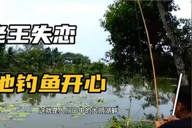 带老王到大明湖畔钓鱼 只为博得失恋老王的一笑视频封面