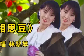 台湾歌手林翠萍经典情歌《相思豆》歌声甜美动听，醉人心扉！视频封面
