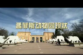 孟菲斯动物园现状，大熊猫丫丫回国前的生存环境视频封面