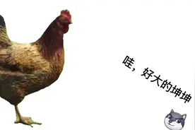 晚安，玛卡巴卡视频封面