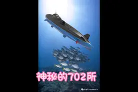 神秘的702所视频封面