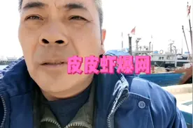 秦皇岛皮皮虾爆网，价格大落视频封面