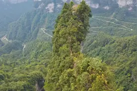 重庆丰都隐入云端的悬空寺 古人如何建筑成谜 山谷道路蜿蜒盘旋视频封面