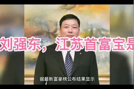 【故事汇170】江苏首富是谁？超刘强东，身价1700亿元，13岁辍学
