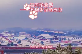 为什么我们的手指是五根？视频封面