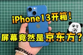 iPhone13新机开箱！屏幕用的竟然是京东方？真无语了…视频封面