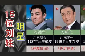 15位刘姓明星，刘姓人口全国第4，明星数据能排第几？视频封面