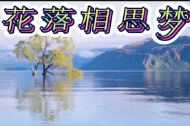 风语的歌《花落相思梦》——待到春暖花开聚首，细数岁月年华静候视频封面