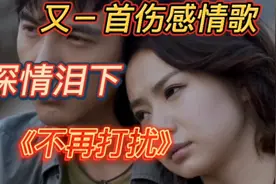 全网最火🔥的一首歌巜不再打扰》煸情泪下，歌词凄美优伤，听哭了视频封面