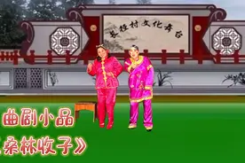 曲剧小品《桑林收子》完整版，深情演绎幽默风趣，张晓英原声视频封面