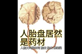 胎盘你们）习俗是怎么处理？胎盘视频封面