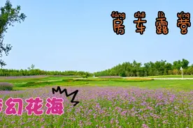 长春自驾游新线路 从净月到莲花山沿线 房车驿站森林露营梦幻花海视频封面
