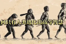 世界上所有物种都在进化，为什么只有人类进化出高等智慧！视频封面
