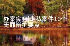 办案实务|走私案件10个辩护无罪辩护点（上）视频封面