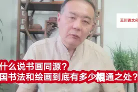 王川谈文化：书画同源对吗？中国书法和绘画到底有多少相通之处？视频封面