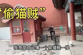 “女偷猫贼”竟然背后偷袭抓到一只宫猫！视频封面