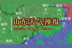 未来三天，山东部分城市迎来雷暴降雨强对流天气，枣庄最大为暴雨视频封面