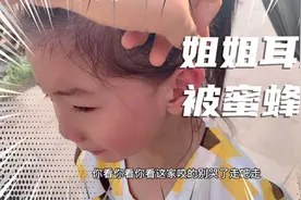 跟爸爸出去玩，结果发生了意外姐姐耳朵被蜜蜂蜇了，爸爸心疼不已视频封面