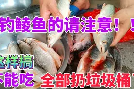鲮鱼不能长时间放冰箱冷冻，否则鱼肉稀烂没法吃，只能扔垃圾桶视频封面